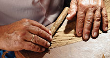 cigar. cigars. Hand-rolled cigars. Cigar manufacturing. Tobacco roller. Tobacco simply leaves, Tobacco leaf